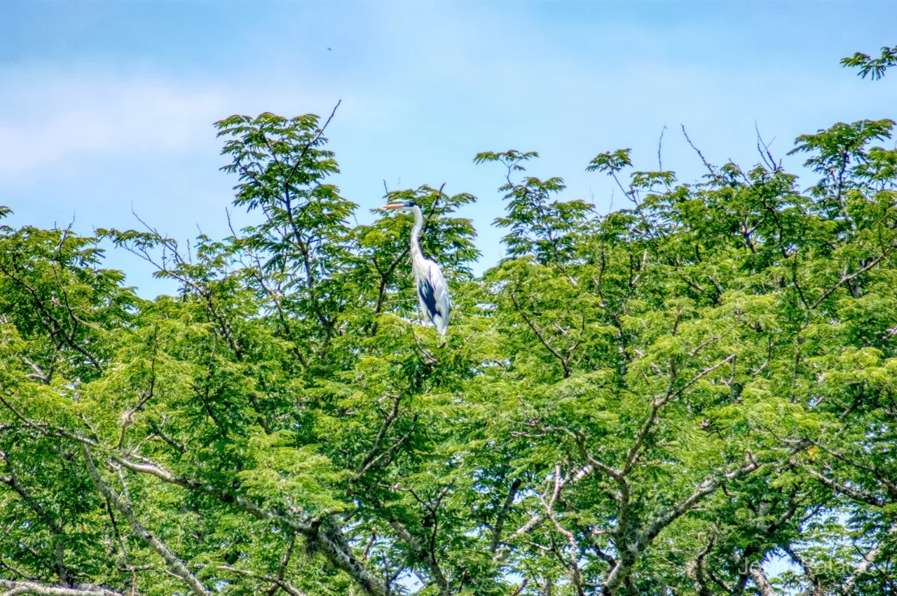 hosteria-en-santa-fe-de-antioquia